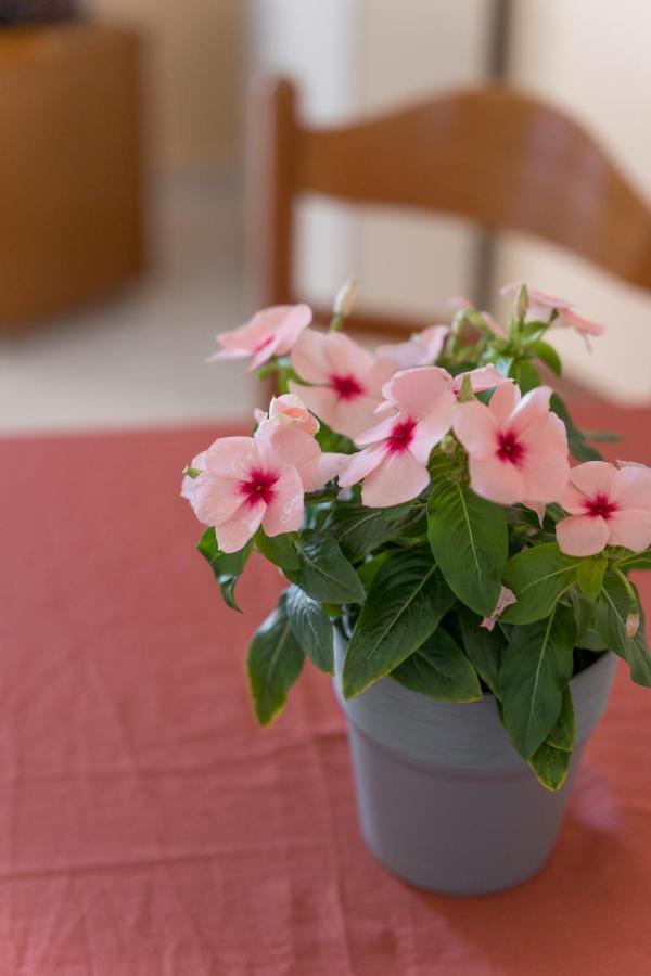Ammousa Hotel Apartments Ликсури Экстерьер фото