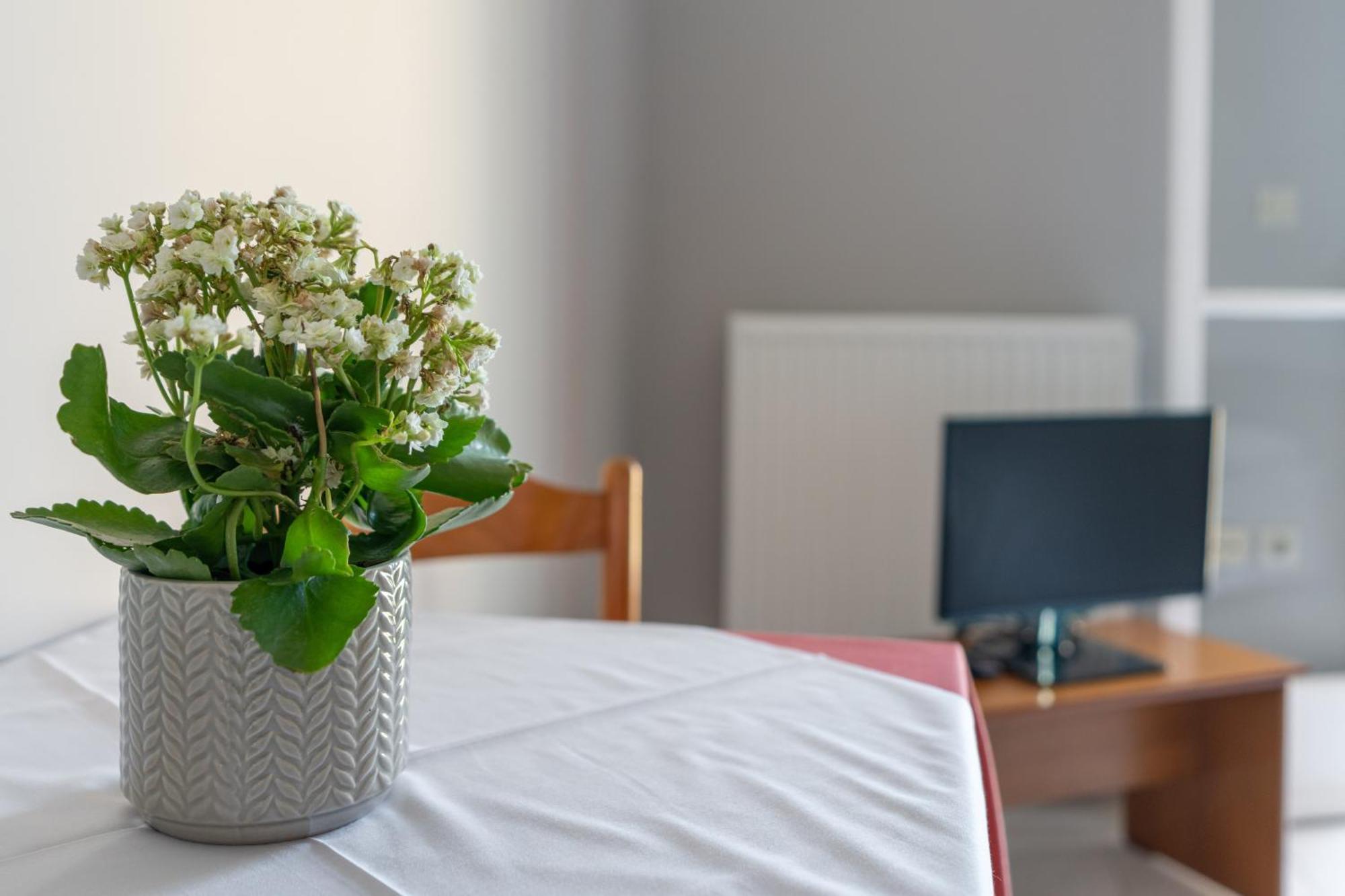 Ammousa Hotel Apartments Ликсури Экстерьер фото